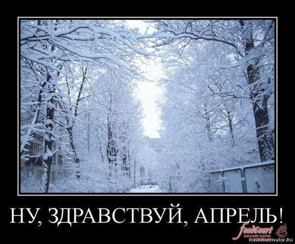 Про снег в апреле смешные