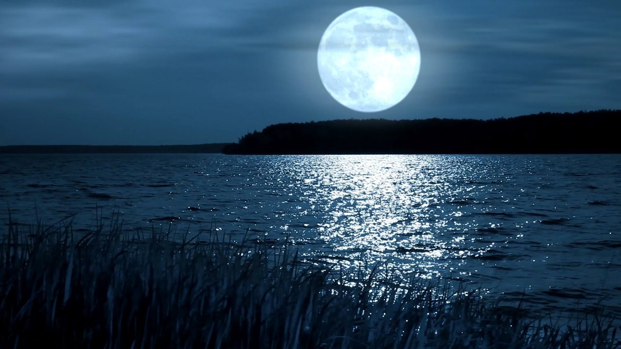 Вода едва блестела в реке. Ночь Луна. Луна над озером. Отражение Луны в воде. Озеро ночью.