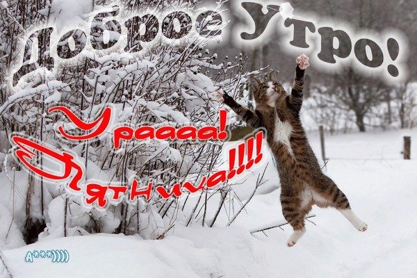 Пятница зима