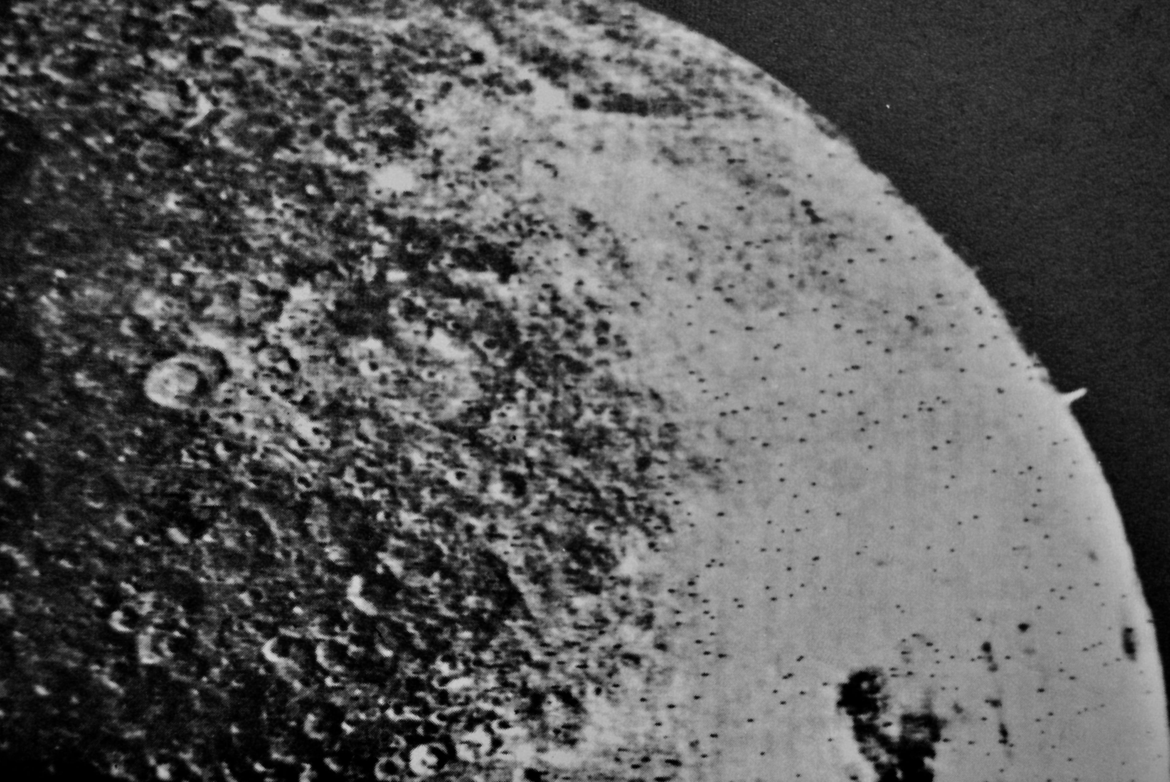 Изображение обратной стороны луны