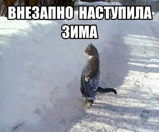 Зима пришла неожиданно