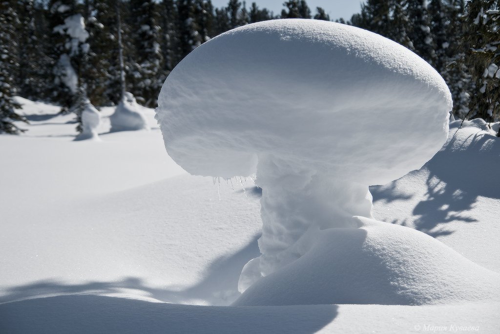 Сугроб с глазами. Снежные сугробы. Причудливые фигуры из снега. Снежные шапки на деревьях. Необычные сугробы.