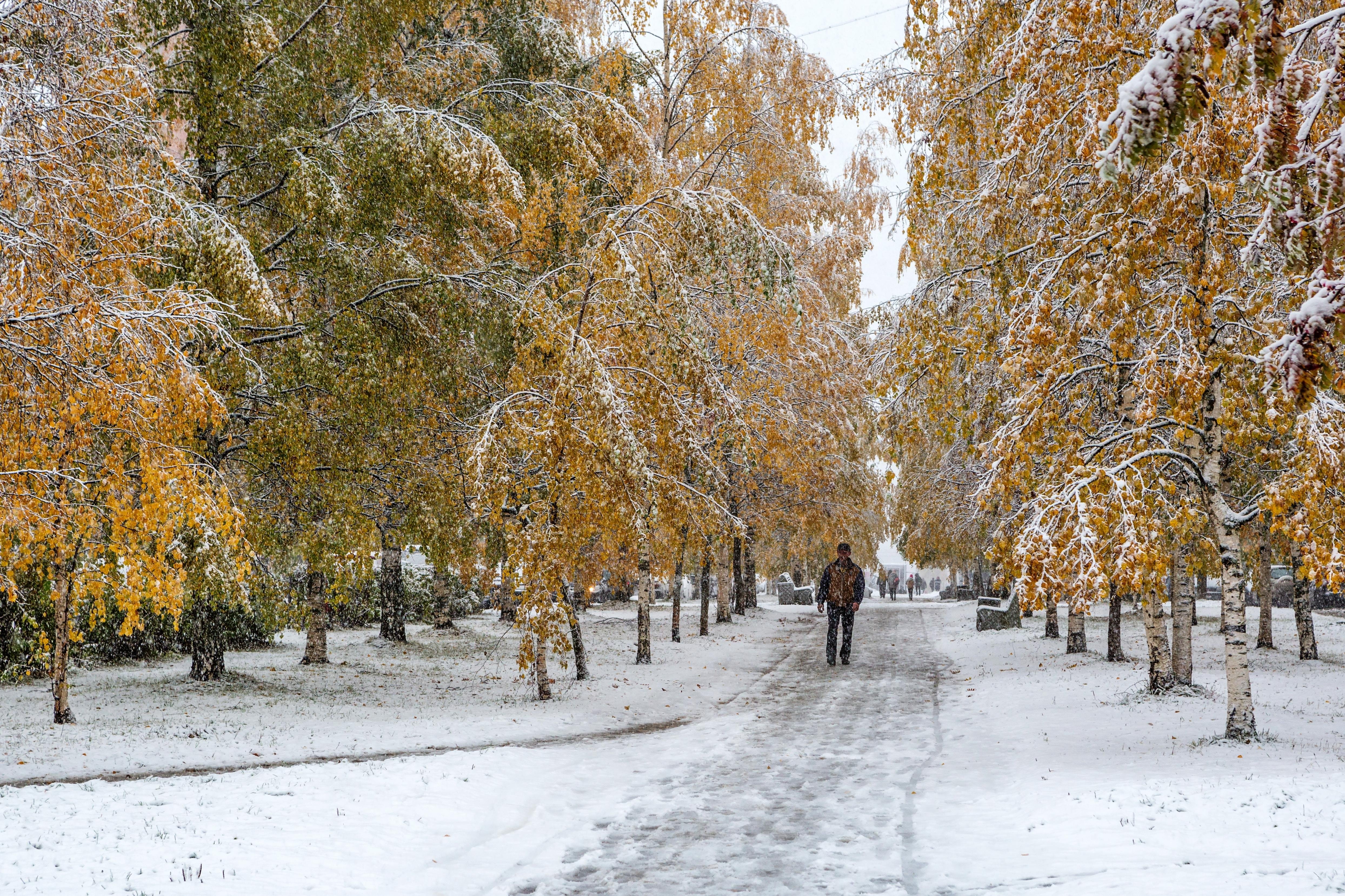 Толстого 1 снег. Первый снег. Первый снег в Москве. Ноябрь в городе. Снежная осень в городе.