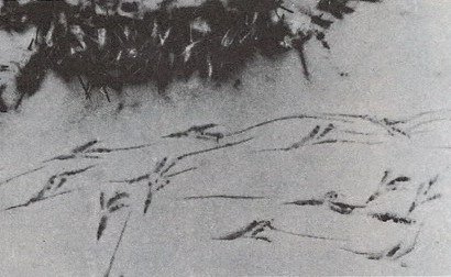 Николай Сладков красный снег