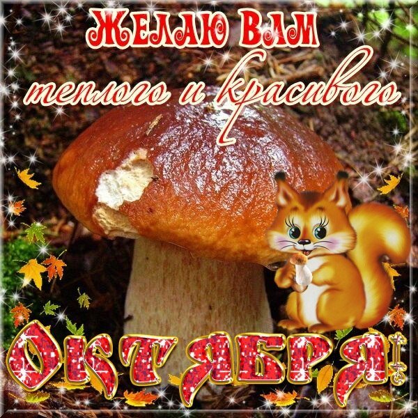 С первым днем октября