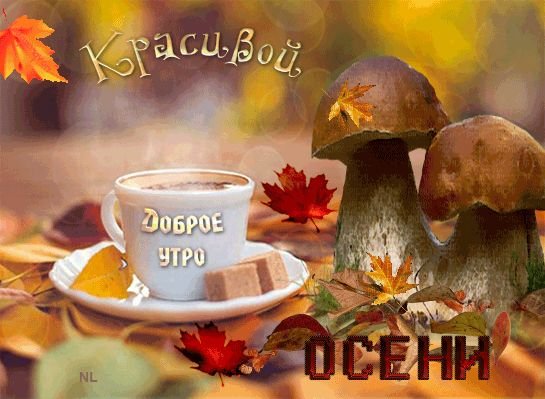 Открытки с добрым утром осенние с грибами