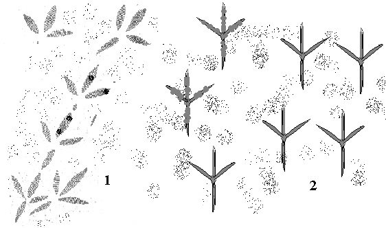 Следы птиц на снегу для детей