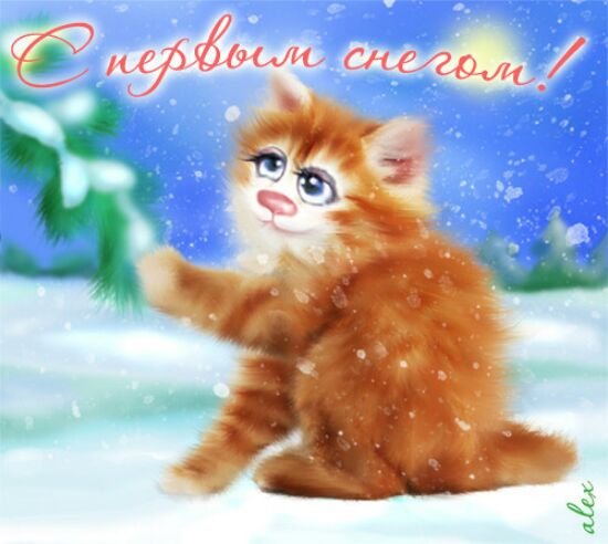 Открытки с первым снегом