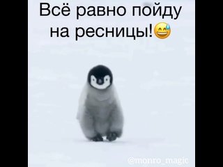 Все равно пойду на ресницы