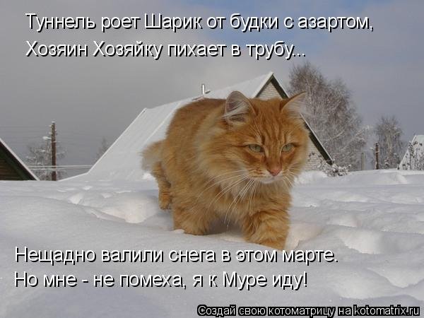 Снега навалило