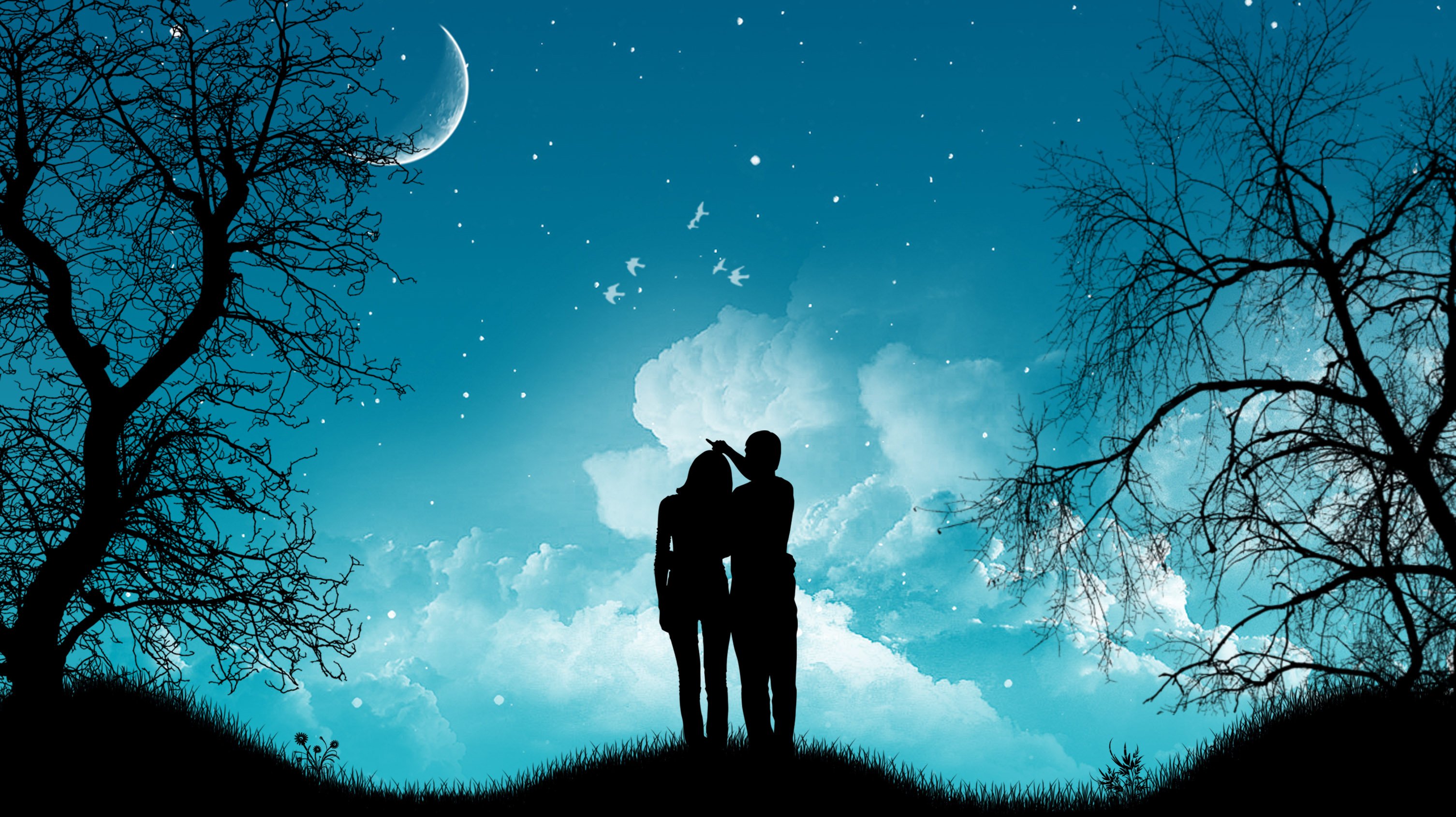 Вместе спокойный. Двое под звездным небом. Пара на фоне Луны. Влюбленные под звездами. Пара на фоне звездного неба.