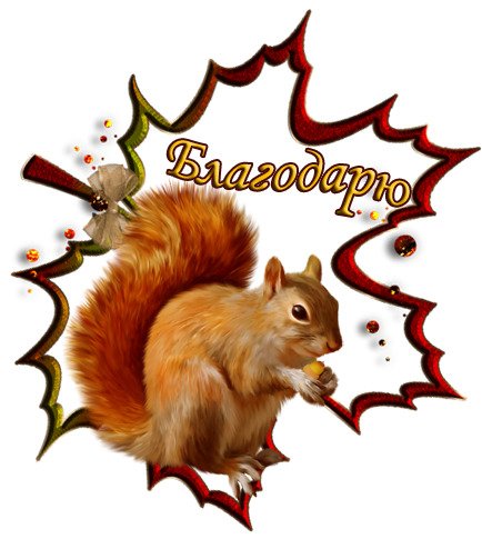 Спасибки Золотая