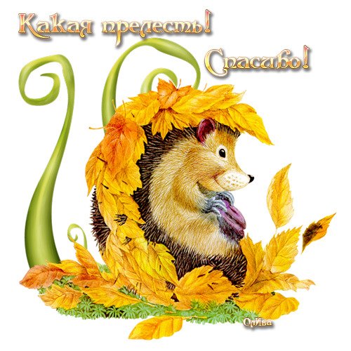 Открытки спасибо осенние