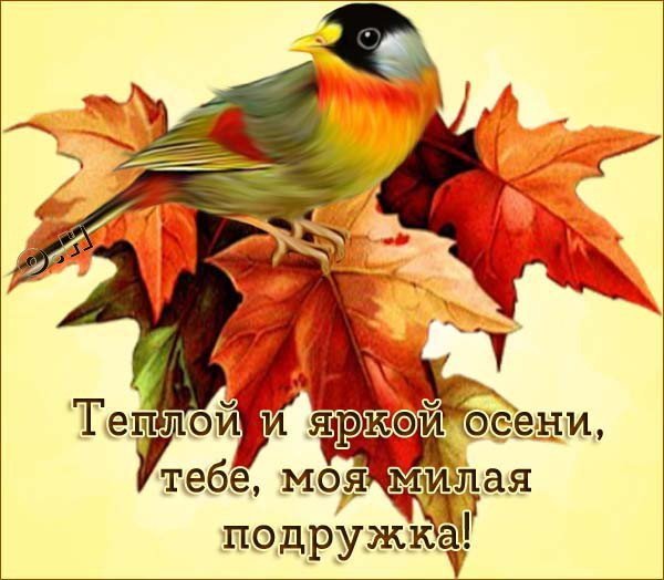 Открытки спасибо осенние