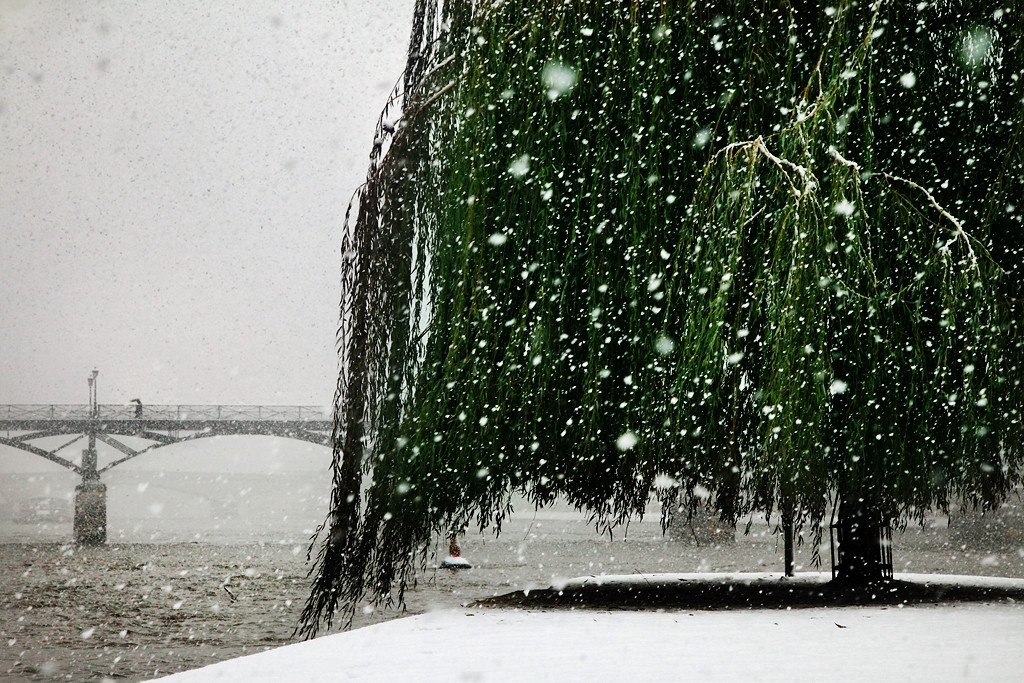 Кристоф Жакро фотограф. Дождь зимой. Снег с дождем. Снегопад с дождем. Дождь снег картинки
