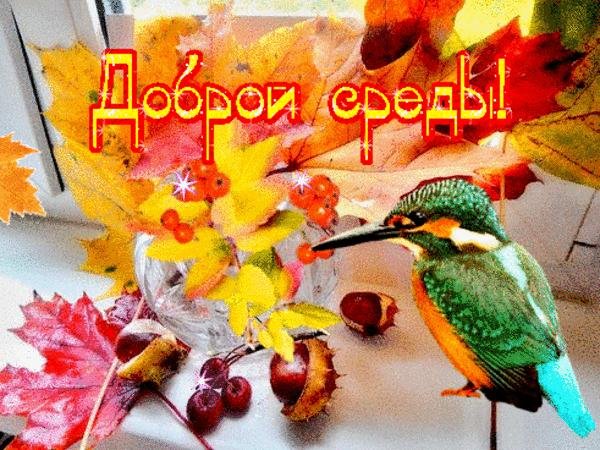 Открытки с добрым утром среды осенние