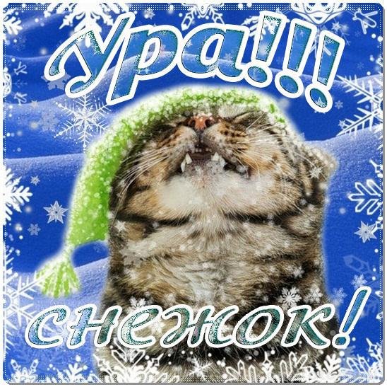 Первый снег