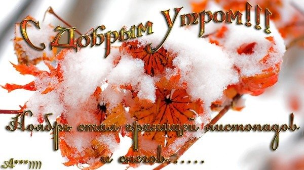 Открытки с добрым ноябрьским утром