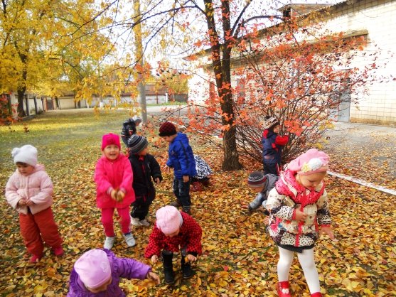 Осенняя прогулка в детском саду