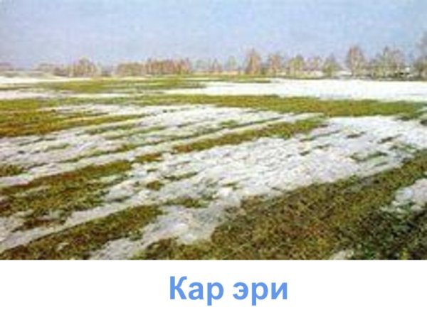Таяние снега в поле