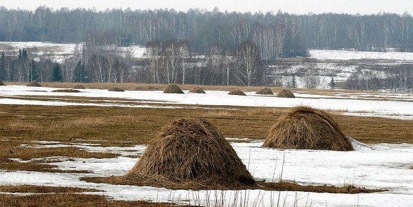 Вот уж снег последний в поле тает картинки