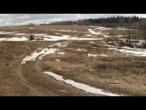 Последний снег на поле