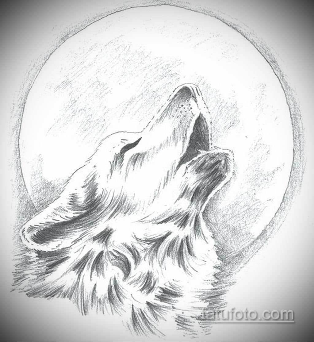 Тату волк воющий на луну (59 фото)