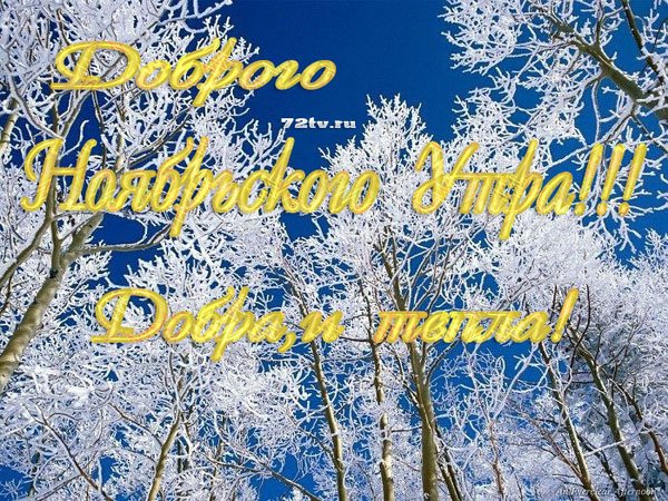 Удачного ноябрьского дня