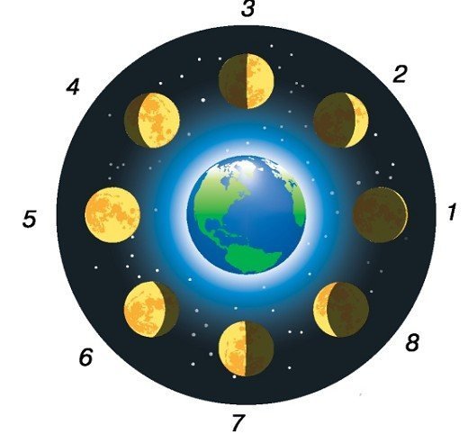 Фазы Луны для дошкольников