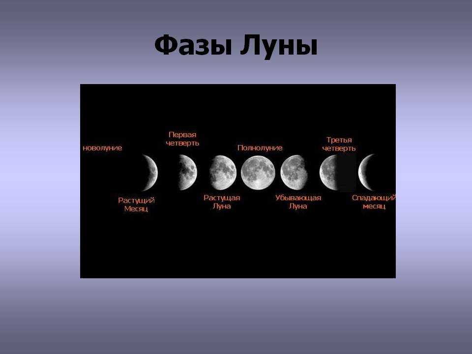 Сколько длится 1 луна. Растущая Луна первая фаза. Ф̆̈ӑ̈з̆̈ы̆̈ Л̆̈ў̈н̆̈ы̆̈. Фаза Луны первая четверть. Растущая Луна первая четверть.