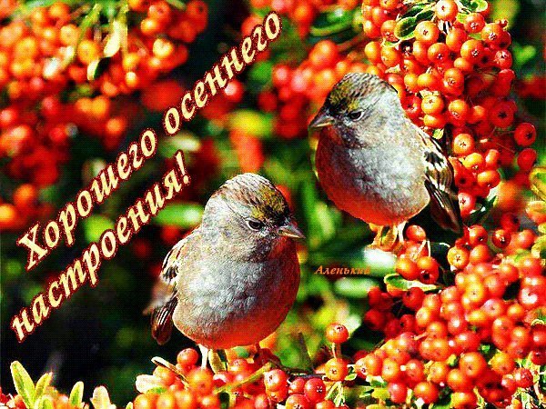 Доброго осеннего утра и хорошего настроения