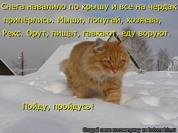 Снега навалило