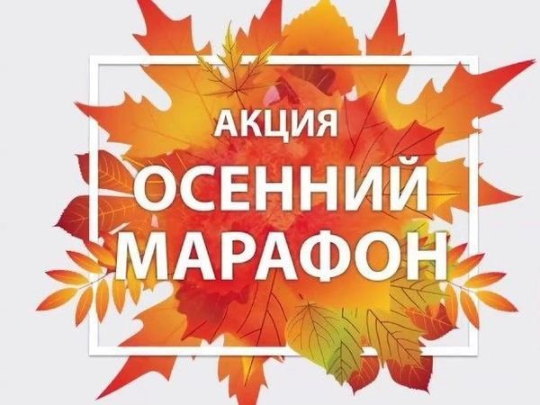 Осенние акции в детском саду