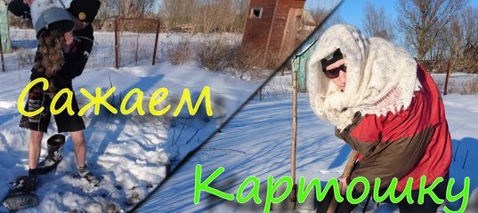 Сажать картошку зимой