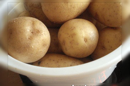 Картошка в снегу фото