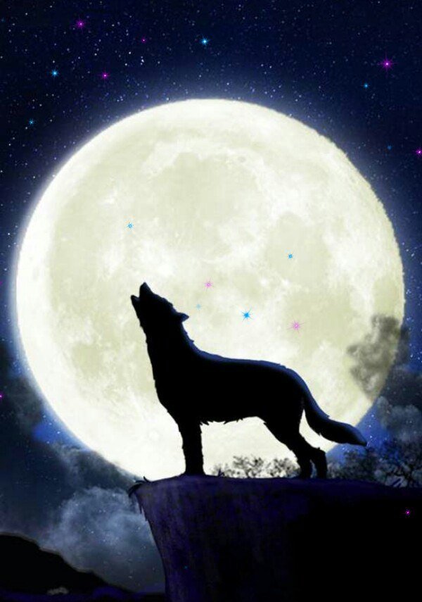 Луна живое существо. Волк и Луна. Волк воет на луну. Волчица воет на луну. Волк ночь Луна.