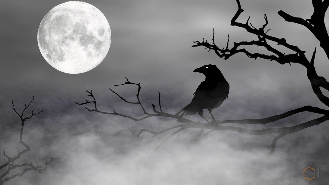 Тень ворона 5 читать. Мистические вороны. Мрачный ворон. Мрачные птицы. Черный ворон.