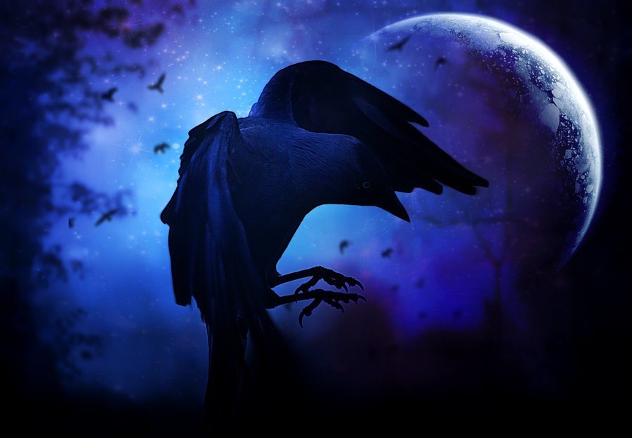 Синяя ворона читать. Ворон ночью. Ворон и Луна. Черный ворон. Ночь ворона.