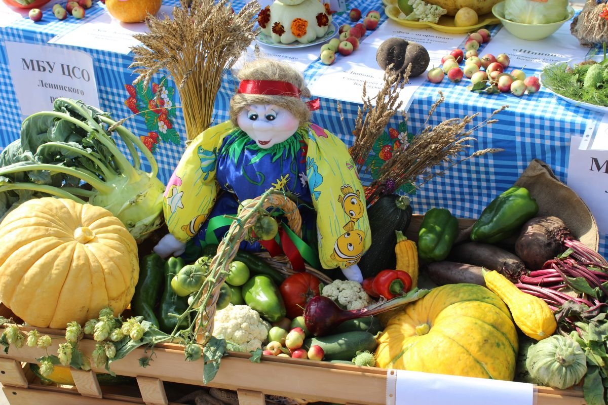 Выставки овощей. Праздник урожая. Выставка овощей и фруктов. Ярмарка овощей и фруктов. Ярмарка урожая.