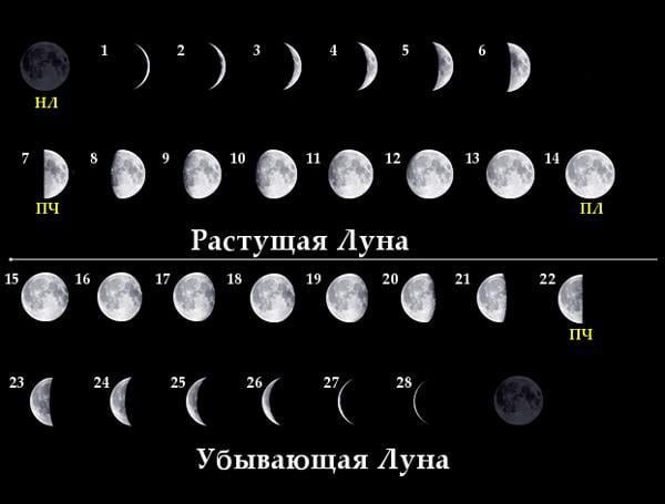 Расьцщая и Цбывающая лцна