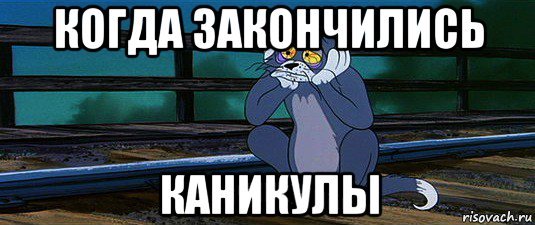 Каникулы закончились