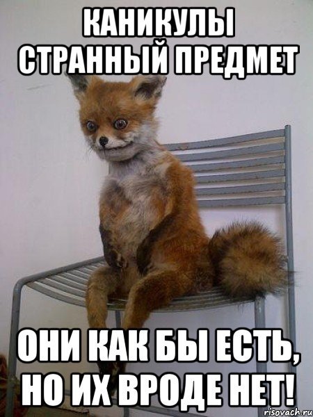 Смешное про каникулы