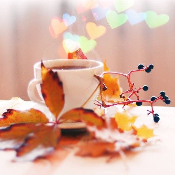 Доброе осеннее утро вторника