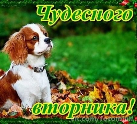 Открытки со вторником