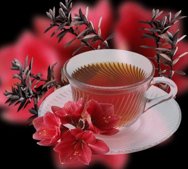 Утренний чай для тебя