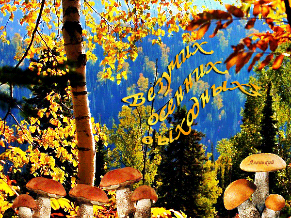 Картинки хороших осенних выходных (39 фото)