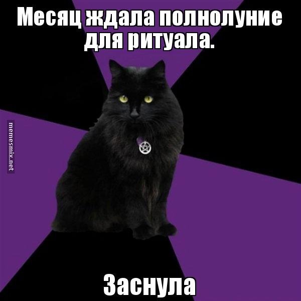 Полнолуние мемы