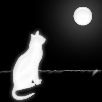 Белая кошка ночью