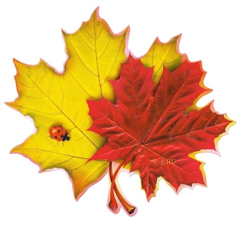 Осенний лист смайлик