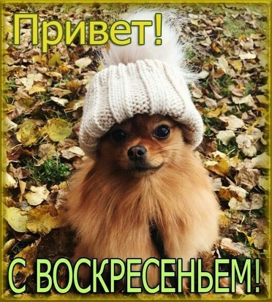 Доброго осеннего воскресенья